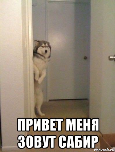  привет меня зовут сабир, Мем мне приснился страшный сон можно