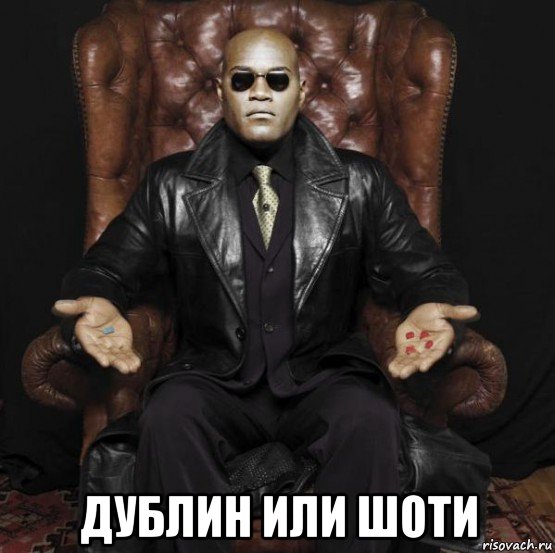  дублин или шоти, Мем морфеус