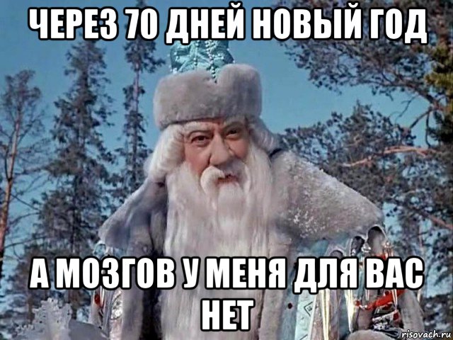 через 70 дней новый год а мозгов у меня для вас нет