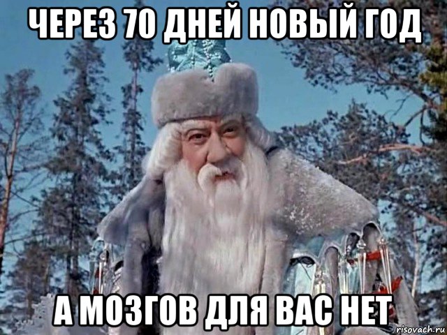 через 70 дней новый год а мозгов для вас нет