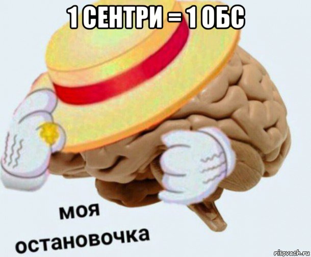 1 сентри = 1 обс , Мем   Моя остановочка мозг