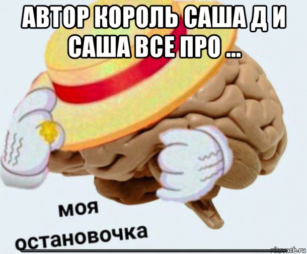 автор король саша д и саша все про ... ____________________________________________, Мем   Моя остановочка мозг