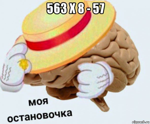 563 x 8 - 57 , Мем   Моя остановочка мозг