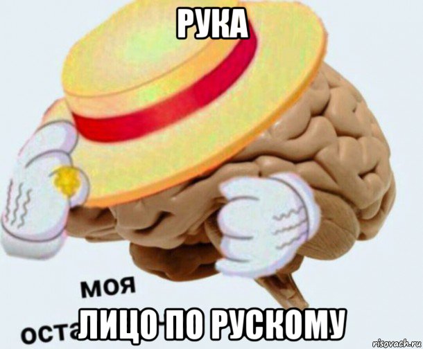 рука лицо по рускому, Мем   Моя остановочка мозг