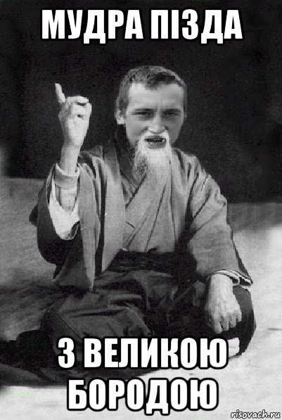 мудра пізда з великою бородою, Мем Мудрий паца