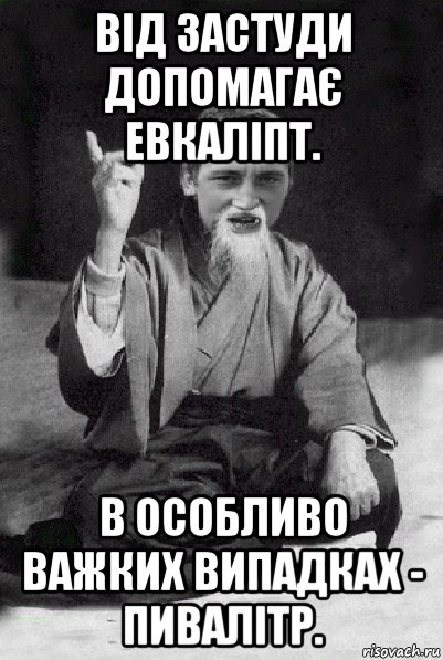 від застуди допомагає евкаліпт. в особливо важких випадках - пивалітр., Мем Мудрий паца