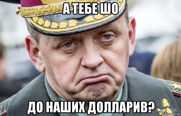 а тебе шо до наших долларив?