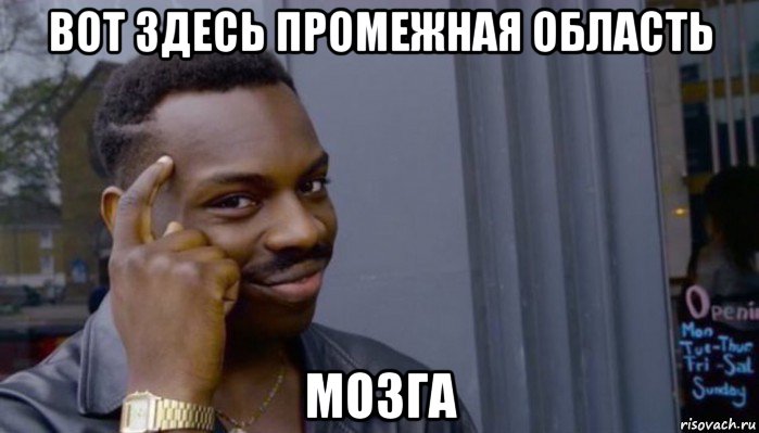 вот здесь промежная область мозга, Мем Не делай не будет