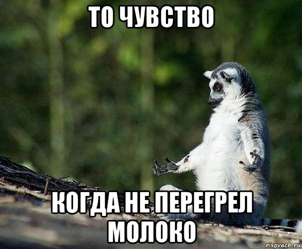 то чувство когда не перегрел молоко