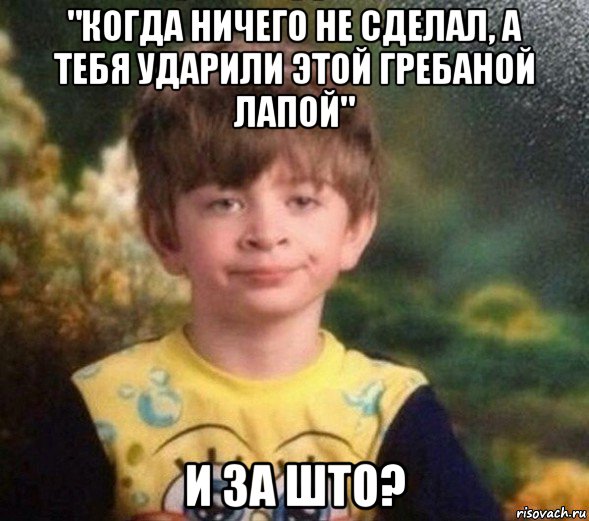 "когда ничего не сделал, а тебя ударили этой гребаной лапой" и за што?, Мем Недовольный пацан