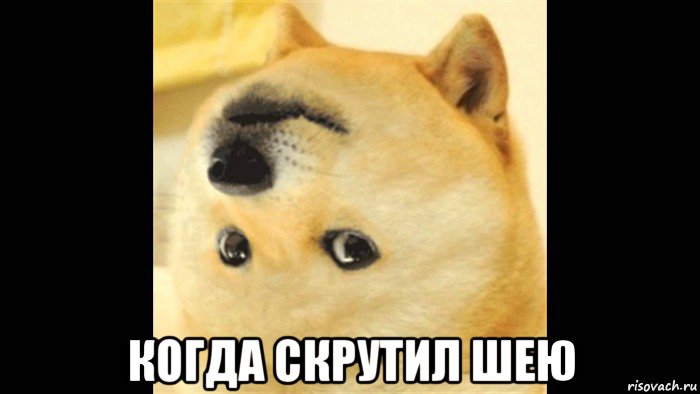  когда скрутил шею, Мем Неправильная доге