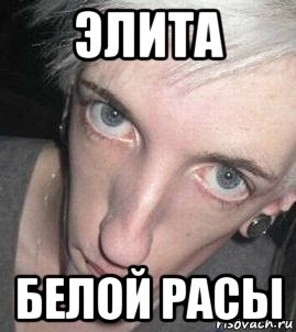 элита белой расы