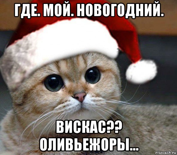 где. мой. новогодний. вискас?? оливьежоры...