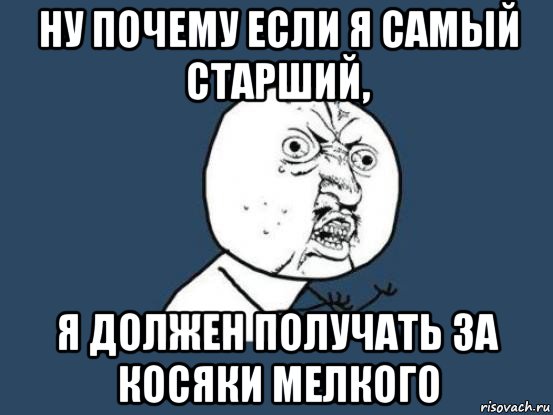 ну почему если я самый старший, я должен получать за косяки мелкого, Мем Ну почему