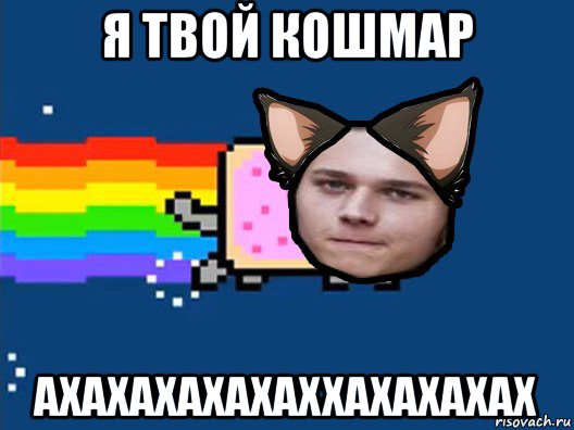 я твой кошмар ахахахахахаххахахахах, Мем Нян Кэт в Реальной Жизни