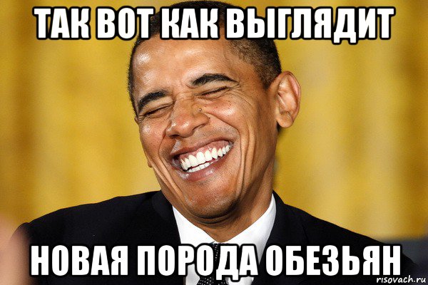 так вот как выглядит новая порода обезьян