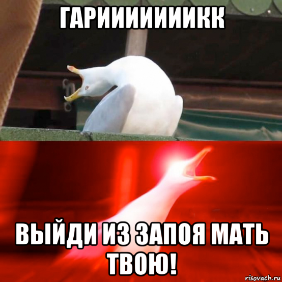 гарииииииикк выйди из запоя мать твою!