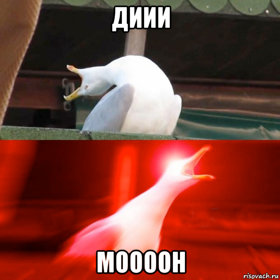 диии моооон