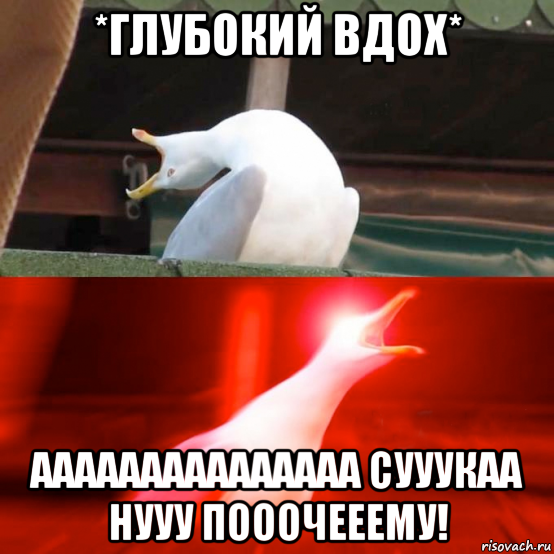 *глубокий вдох* ааааааааааааааа сууукаа нууу пооочееему!