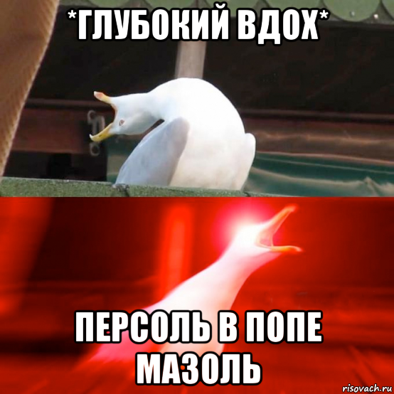 *глубокий вдох* персоль в попе мазоль