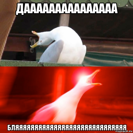 дааааааааааааааа бляяяяяяяяяяяяяяяяяяяяяяяяяяяяя
