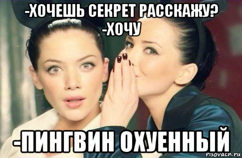 -хочешь секрет расскажу? -хочу -пингвин охуенный, Мем  Он