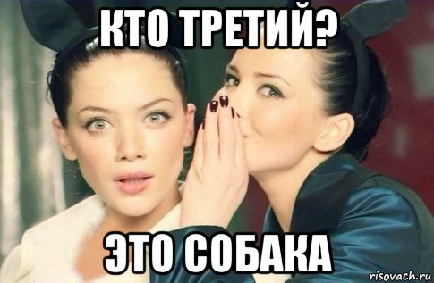 кто третий? это собака, Мем  Он