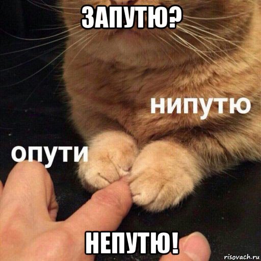 запутю? непутю!