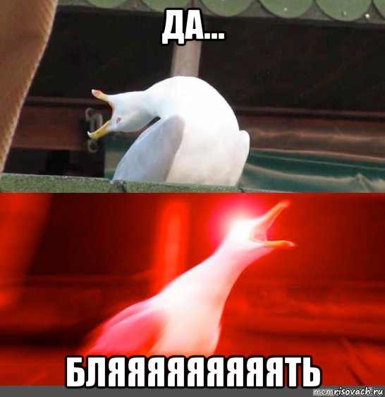 да... бляяяяяяяяять, Мем Орущий гусь