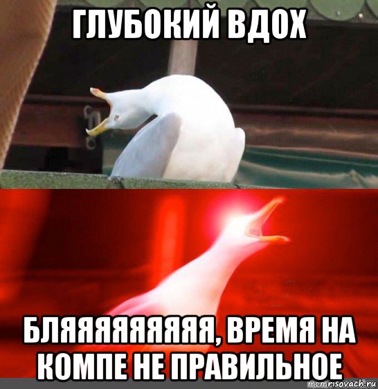 глубокий вдох бляяяяяяяяя, время на компе не правильное, Мем Орущий гусь