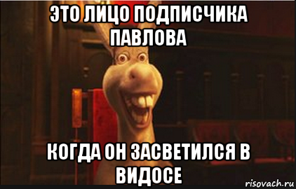 это лицо подписчика павлова когда он засветился в видосе, Мем Осел из Шрека