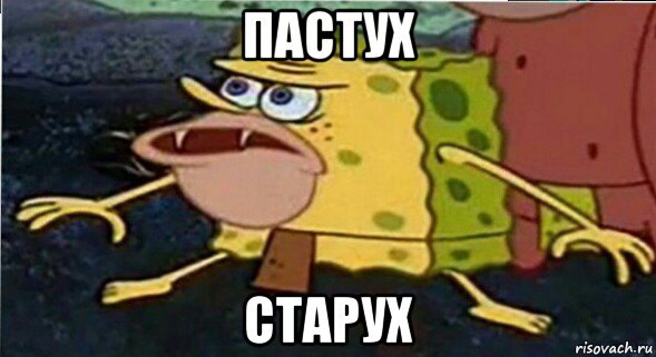 пастух старух
