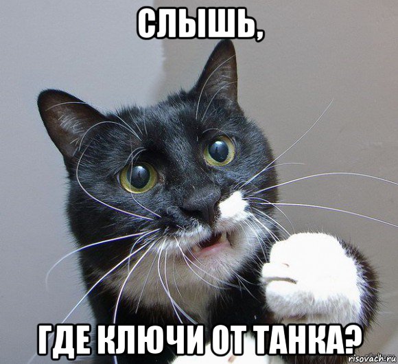 слышь, где ключи от танка?, Мем Печальный кот