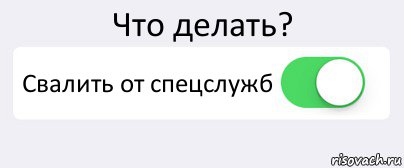 Что делать? Свалить от спецслужб , Комикс Переключатель