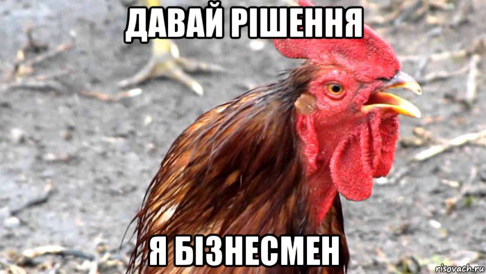 давай рішення я бізнесмен