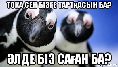 тока сен бізге тартқасын ба? Әлде біз саған ба?