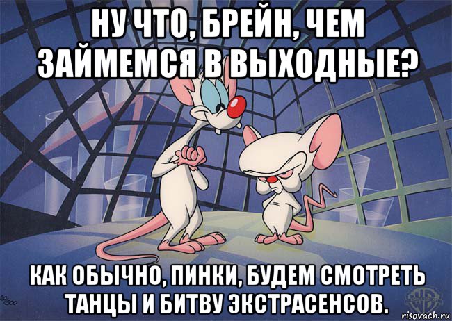 ну что, брейн, чем займемся в выходные? как обычно, пинки, будем смотреть танцы и битву экстрасенсов., Мем ПИНКИ И БРЕЙН