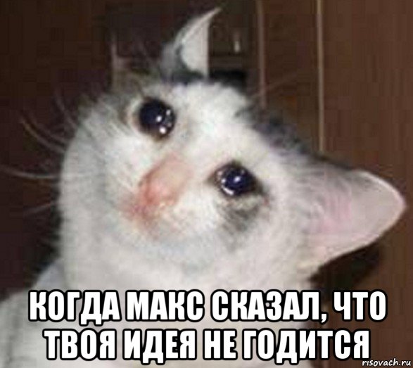  когда макс сказал, что твоя идея не годится