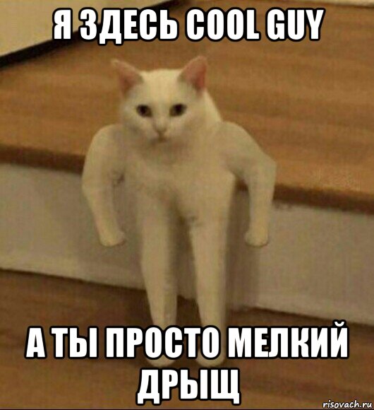 я здесь cool guy а ты просто мелкий дрыщ, Мем  Полукот