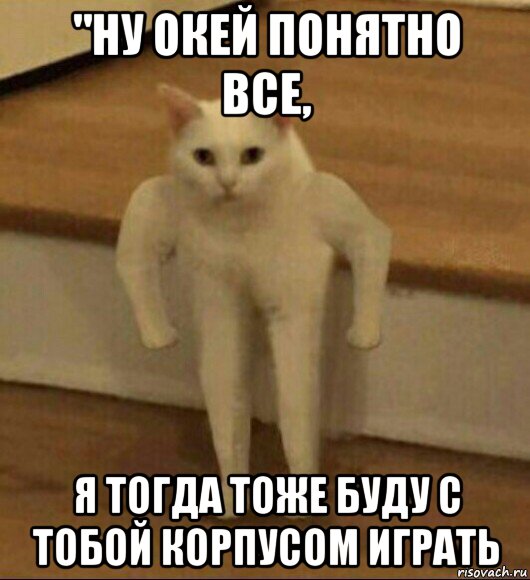 "ну окей понятно все, я тогда тоже буду с тобой корпусом играть, Мем  Полукот