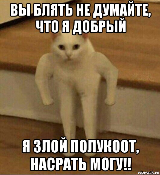 вы блять не думайте, что я добрый я злой полукоот, насрать могу!!, Мем  Полукот