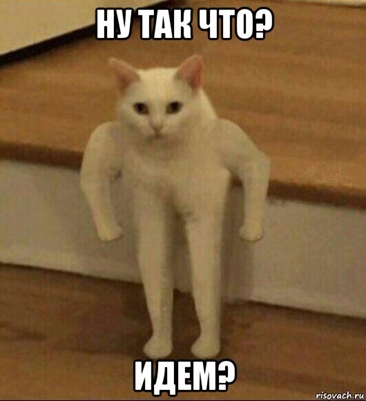 ну так что? идем?, Мем  Полукот