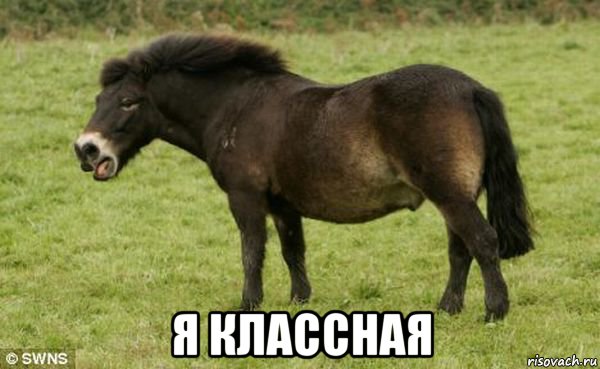  я классная