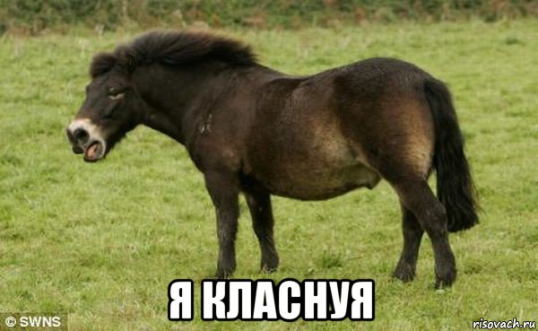  я класнуя