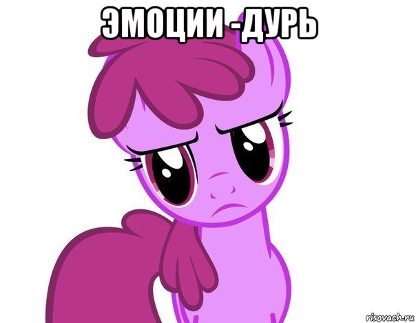эмоции -дурь , Мем пони