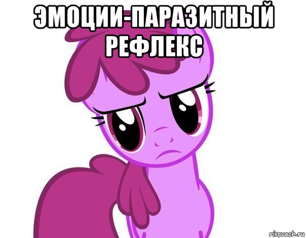 эмоции-паразитный рефлекс , Мем пони