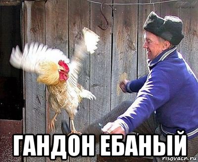  гандон ебаный