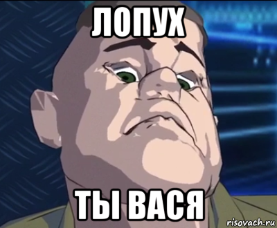 лопух ты вася