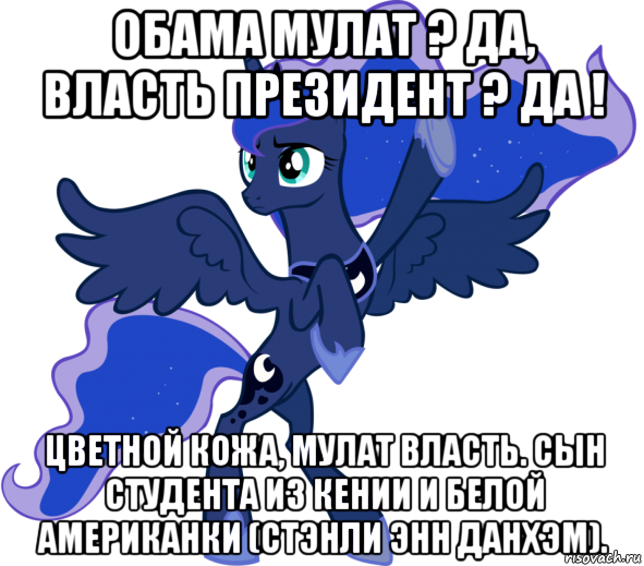 обама мулат ? да, власть президент ? да ! цветной кожа, мулат власть. сын студента из кении и белой американки (стэнли энн данхэм).