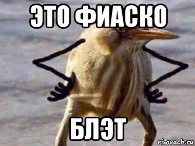 это фиаско блэт